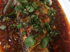 -丁月玉兔王(大渡口店)