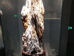 -安徽省地质博物馆
