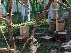 -泉州海丝野生动物世界