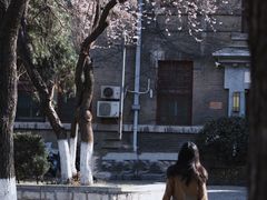-山东大学(趵突泉校区)