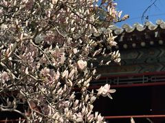 -潭柘寺景区