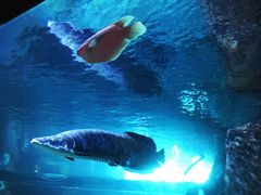 -华夏文旅海洋公园