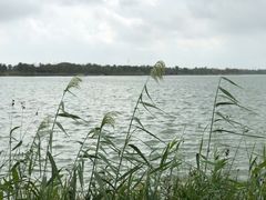 -海宁鹃湖公园