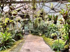 -深圳仙湖植物园