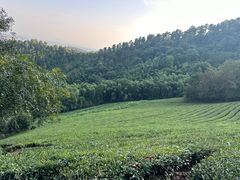 -敬亭山风景名胜区