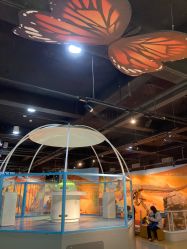 -北京科学中心儿童乐园