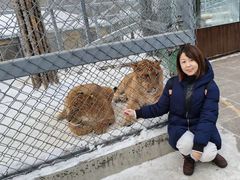 -横道河子东北虎林园