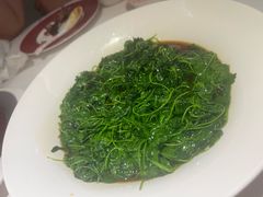 -圆苑(静安寺店)