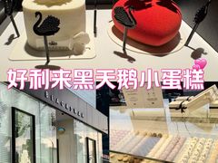 -BLACKSWAN黑天鹅(环球店)