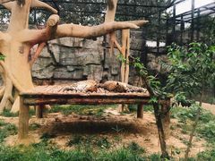 -石家庄市动物园