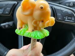 -秦皇岛野生动物园