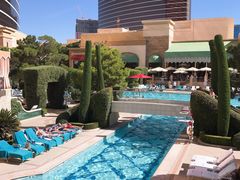 -拉斯维加斯永利酒店