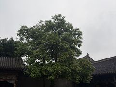 -张学良旧居陈列馆