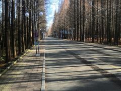-日照海滨国家森林公园