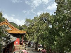 -潭柘寺景区