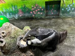 -常州淹城野生动物世界