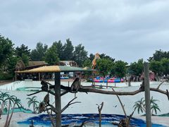 -西霞口神雕山野生动物世界