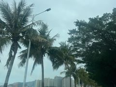 -螺州海滨公园