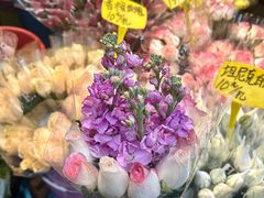 -循礼门鲜花花市(武汉循礼门店)