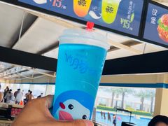 -秦皇岛乐岛海洋王国