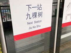-梨园(地铁站)