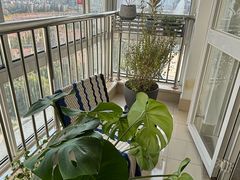 -上海市普陀区中心医院