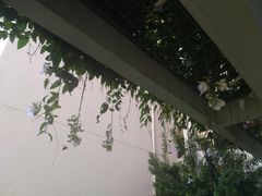-麦哲伦丝绸度假村