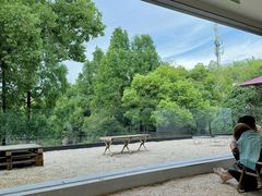 -J Create城市露营咖啡·简餐·宠物(上海动物园店)