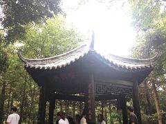 -窦圌山风景区