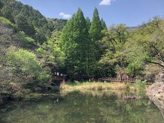 -国家植物园南园