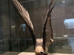 -青藏高原自然博物馆