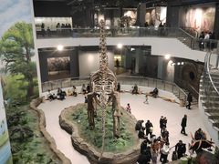 -辽宁古生物博物馆