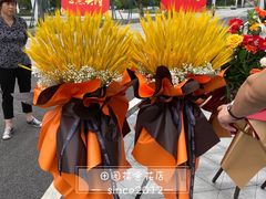 -田园花舍花店(北城未来实体店)