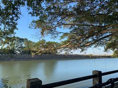 -大湾区中央湿地公园