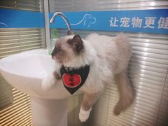 -美迦爱-牙专科·兔科·骨科诊疗中心(北苑店)