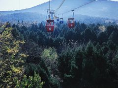 -阳光家常菜游客餐厅(千佛山店)