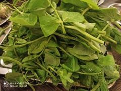 -巴山一绝烤全羊(三圣乡刘家花园店)