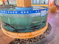 -年辉渔村·非遗传承餐厅(新丰江店)