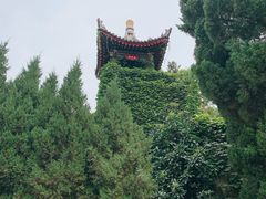 -华清宫景区