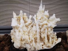 -游龙石文化科普馆