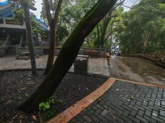 -四海之家(蛇口店)