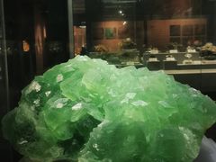 -湖南省地质博物馆