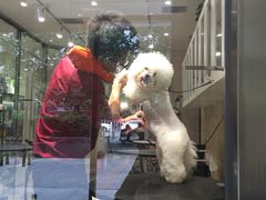 -宠物家(双井店)