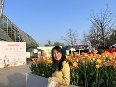 -南山植物园