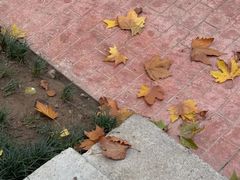 -西安电影制片厂