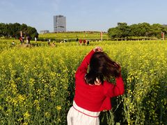 -光明小镇欢乐田园