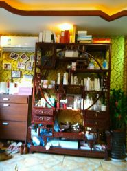 -审美HAIR SALON