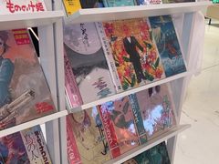 -浣熊唱片店(上海影城店)