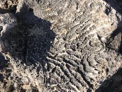 -鹅銮鼻灯塔