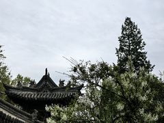 -华夏良子·足道SPA艾灸(王府井店)